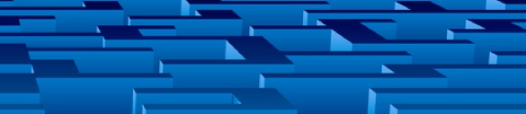 The Legal Maze
